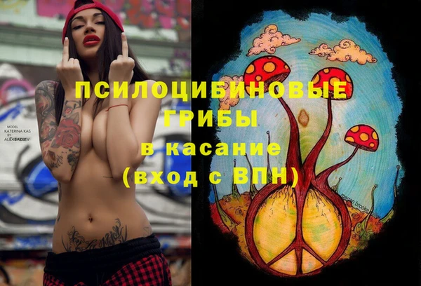 прущие грибы Абинск
