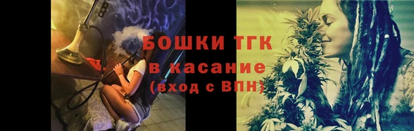 прущие грибы Абинск