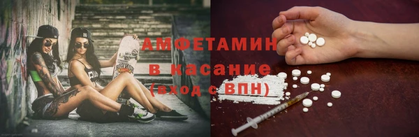 прущие грибы Абинск