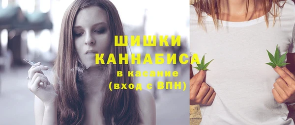 прущие грибы Абинск