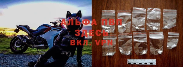 прущие грибы Абинск