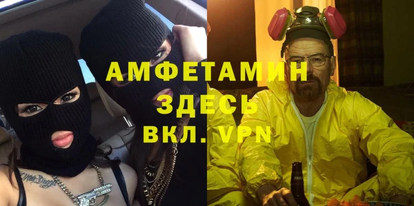 прущие грибы Абинск